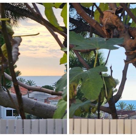 Detente Oceane S2 Proche De La Mer Wifi Clim Cagnes-sur-Mer Exteriör bild