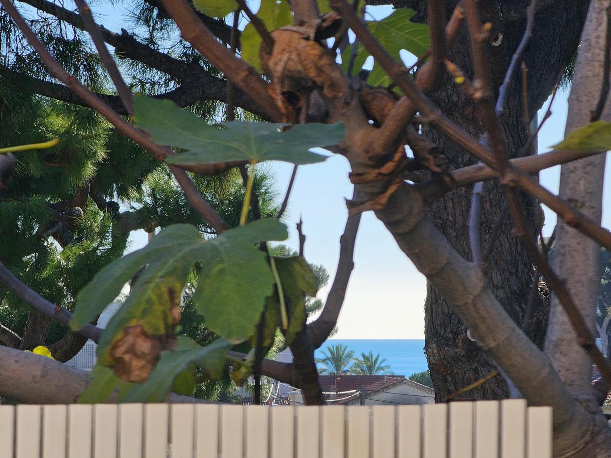 Detente Oceane S2 Proche De La Mer Wifi Clim Cagnes-sur-Mer Exteriör bild