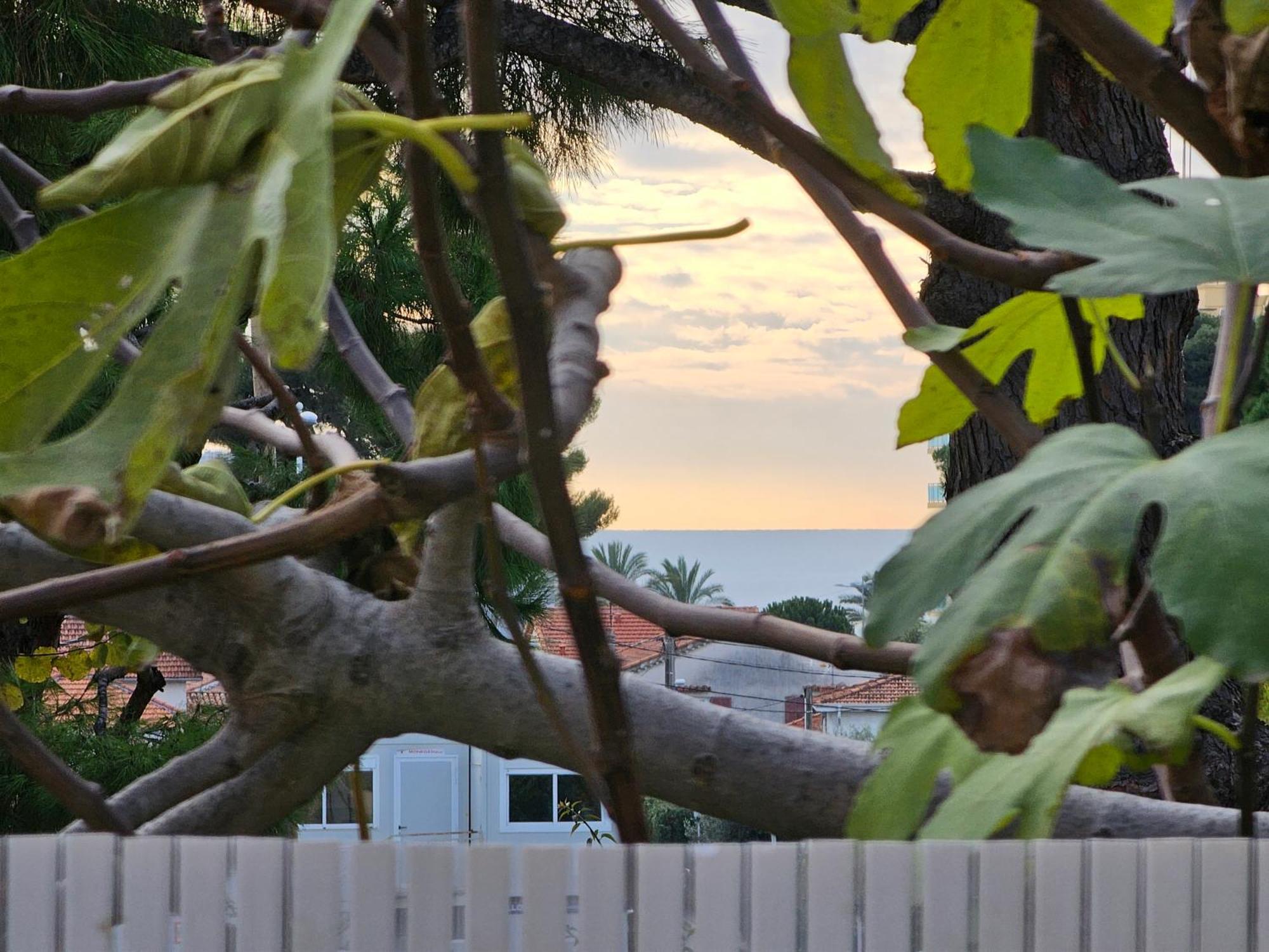 Detente Oceane S2 Proche De La Mer Wifi Clim Cagnes-sur-Mer Exteriör bild